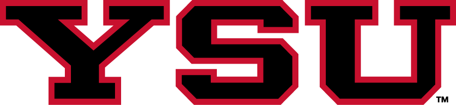 Youngstown State Penguins 2014-Pres Secondary Logo v2 diy iron on heat transfer
